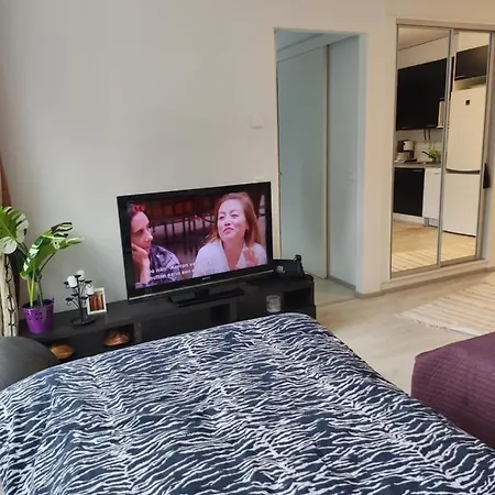 Cozy Apartment